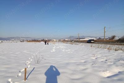 Teren de 4000 mp, în Florești - 3