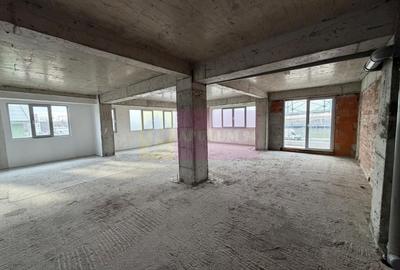 Proprietate specială, de 800 mp, în Theodor Pallady - 31