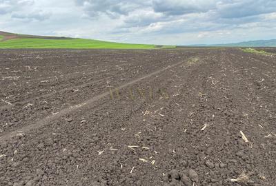 Teren agricol de 10200 mp, în Țagu - 2