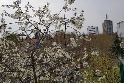 Apartament cu 2 camere decomandat, mobilat în Primăverii - 12
