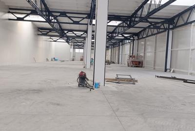 Hala industriala renovata in Brasov-Astra - 1