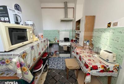 Casă cu 3 camere cu Teren 1079 Mp în Băcia - 8