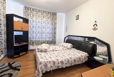 Arges Vila- Casa de vacanta Potential turistic 8 camere Rucar - 3