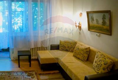 Apartament cu 2 camere de inchiriat in Deva - 2