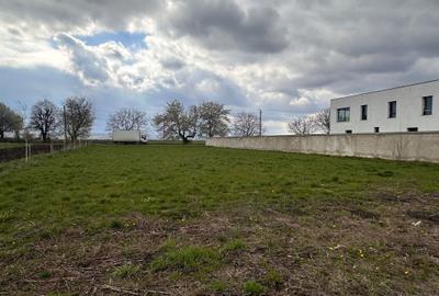 Teren de 10000 mp, în Exterior Vest - 1
