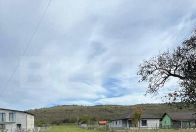 Teren de Vanzare, foarte aproape de Crama Jelna - 4