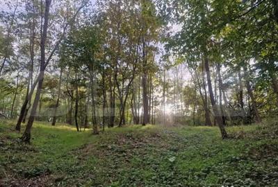 Teren de 79000 mp, în Central - 16