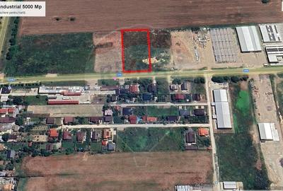 Teren 5.000mp Balotesti cu autorizatie hala - 4