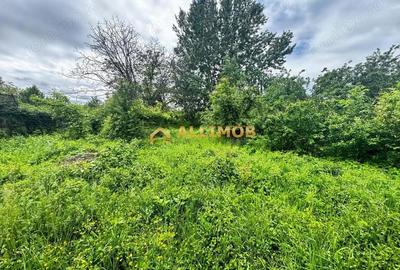 Spațiu comercial, de 910 mp, în Boldești - 11