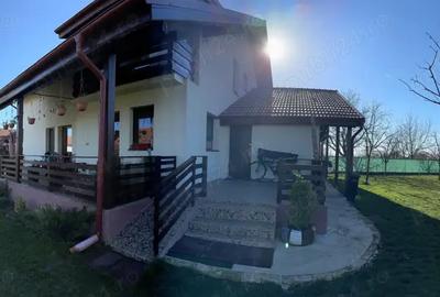 Vand casa Vinga - 10