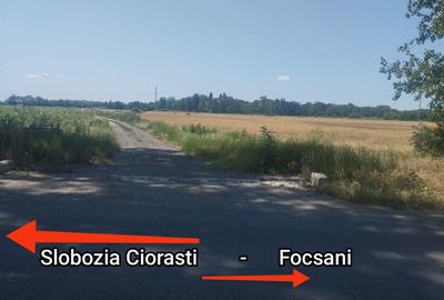 Teren de 6500 mp, în Golești - 6