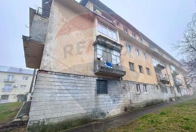 Apartament de vanzare la demisol Cavnic - 3