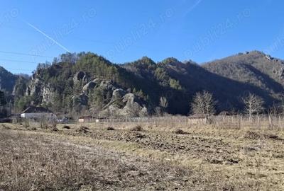 Teren de 2800 mp, în Călinești - 12