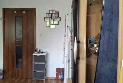 Proprietar vand garsoniera calea buziasului - 4