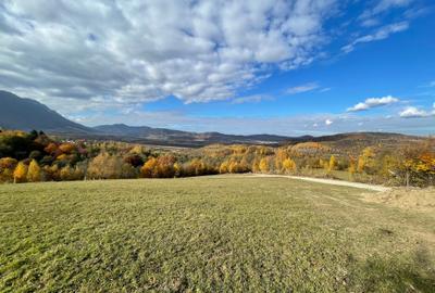 Teren intravilan loturi intre 500 si 1000 m la 14 km de Rasnov - 3