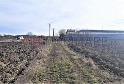 Otopeni - Strada Alexandru Ioan Cuza - 7
