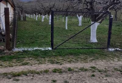 Spațiu comercial, în Orlat - 1