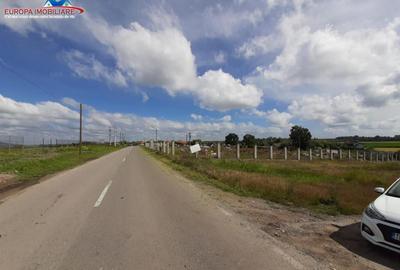 Teren intravilan de loc.Murighiol Jud.Tulcea - 11