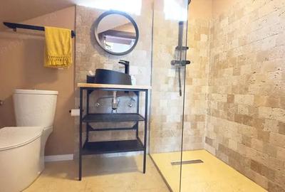 Apartament spa?ios cu 5 camere, vila 2010! - 8