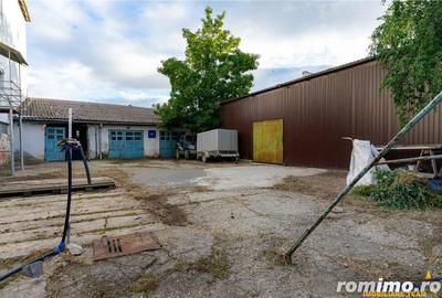 FILM! Spatiu comercial.-. industrial, Central, Targu-Secuiesc - 15