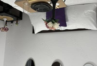 Apartament 2 camere de inchiriat Central, Bd. I.C Bratianu - 4