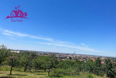 Casa si teren in zona de dealuri Oradea - 12