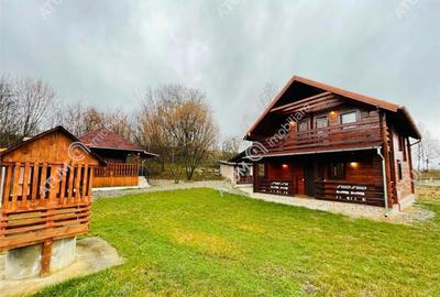 De casa de vacanta in Arpasu de Sus langa Pastravaria Albot - 1