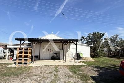 LX290 Hala Industriala Cu Teren Generos,  Bucovat LX290 Hala Industriala Cu Teren Generos,  Bucovat - 17