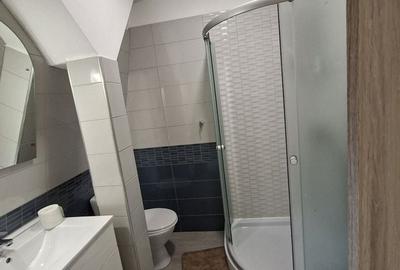Apartament cu 3 camere semidecomandat, mobilat în Torontalului - 3