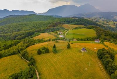 Comision 0 %/Teren intravilan 11.600mp Poiana Marului / Natura/Poveste - 3