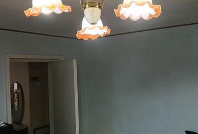 Apartament cu 3 camere decomandat în Humulești - 7