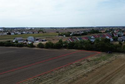 Darza teren intravilan 1ha, ideal pentru case, hala, ferma - 5