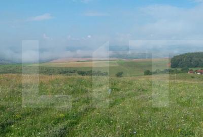 Teren de 1000 mp, în Sălicea