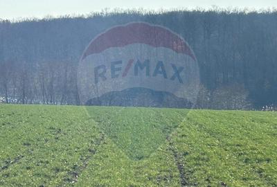 DE VANZARE intravilan LAC, Moara Vlasiei, Caldarusani TER... - 3