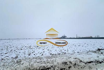 Teren de 4579 mp, în Schineni (Săucești) - 2