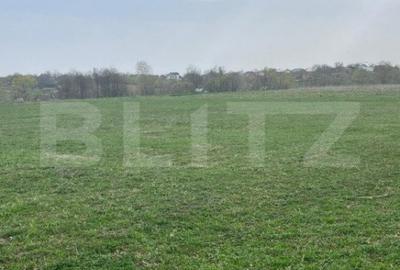 Teren de 5933 mp, în Horodnic - 2