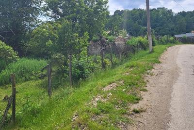 Teren Construcții intravilan de 2582 mp, în Bughea de Jos - 3