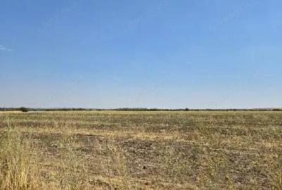 Teren de 4300 mp, în Smârdioasa - 7