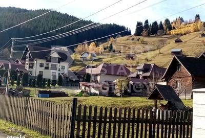 Teren de 5877 mp, în Moieciu - 5