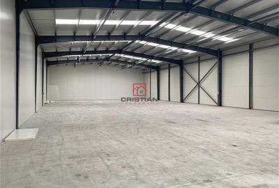 Spațiu comercial, de 975 mp, în Jilava - 8
