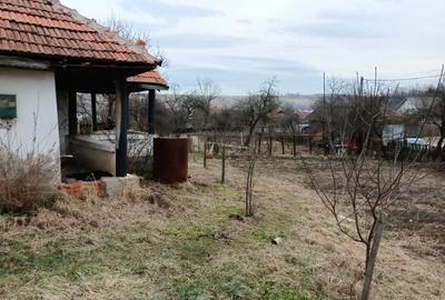Casă cu 3 camere cu Teren 2394 Mp în Fărcășești - 1