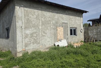 Casă cu 4 camere în Radu Negru - 7