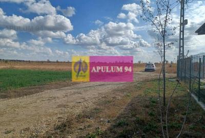 Gulia, teren intravilan curti-constructii, 523 mp - 3