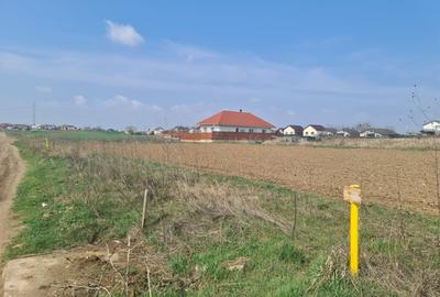 Teren Construcții intravilan de 362 mp, în Berceni