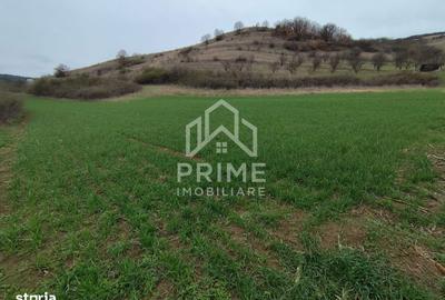 Teren de 1200 mp, în Central