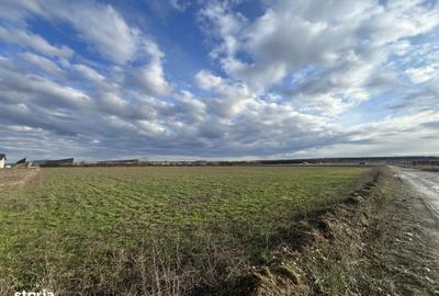 Spațiu comercial, în Apateu - 7