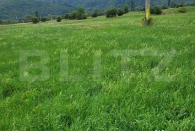 Teren de 2300 mp, în Central