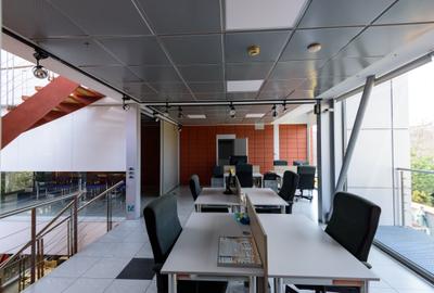 Cladire birouri - 300 mp - Arhitectura superba - 20