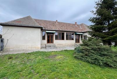 Casă individuală cu 4 camere cu Teren 1079 Mp în Dudeștii Vechi - 14