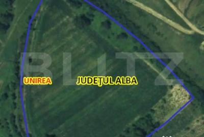 Teren de 21450 mp, în Turda - 4